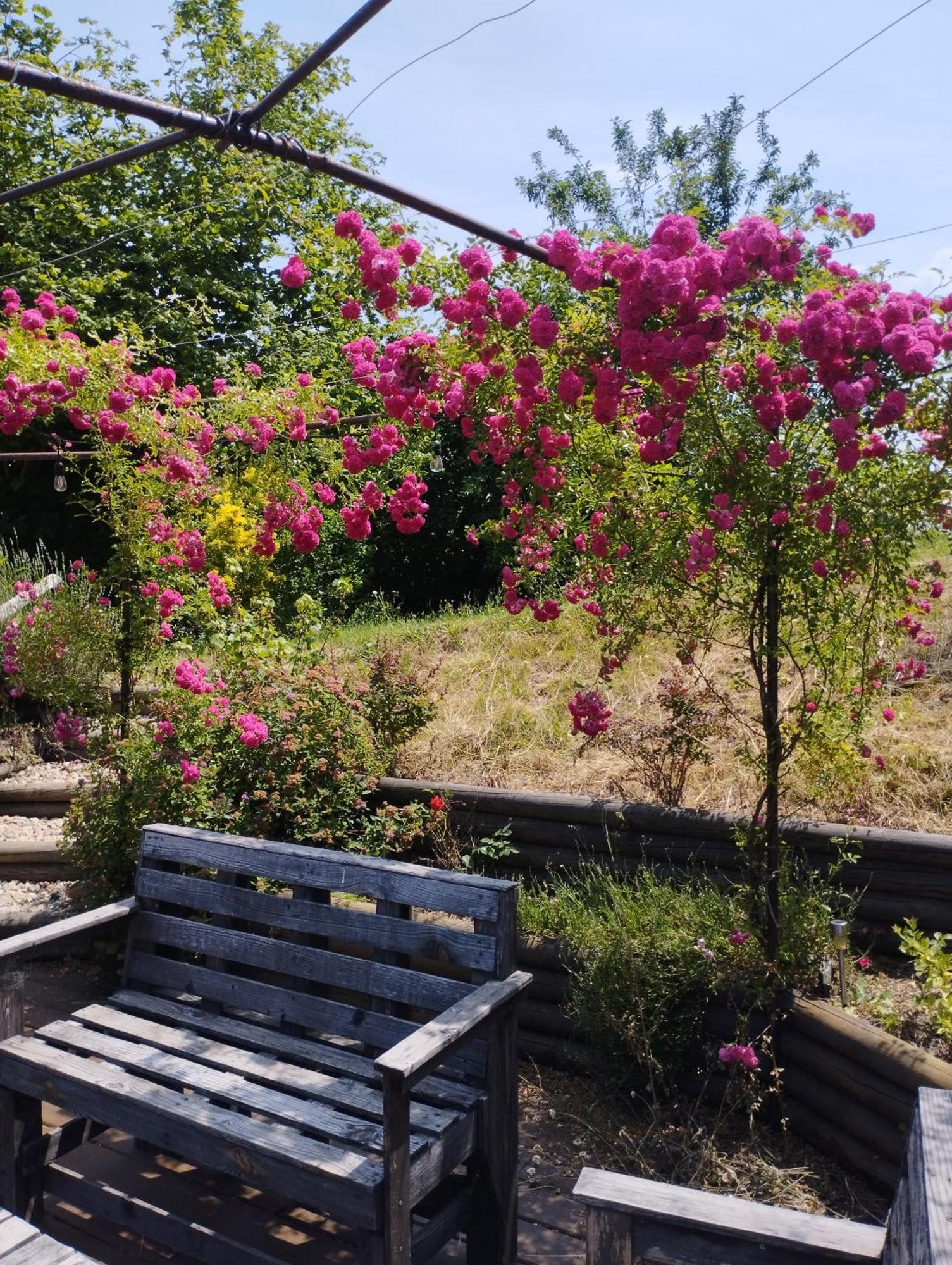 Bed and Breakfast Fenetre Sur Loire Iguerande Esterno foto