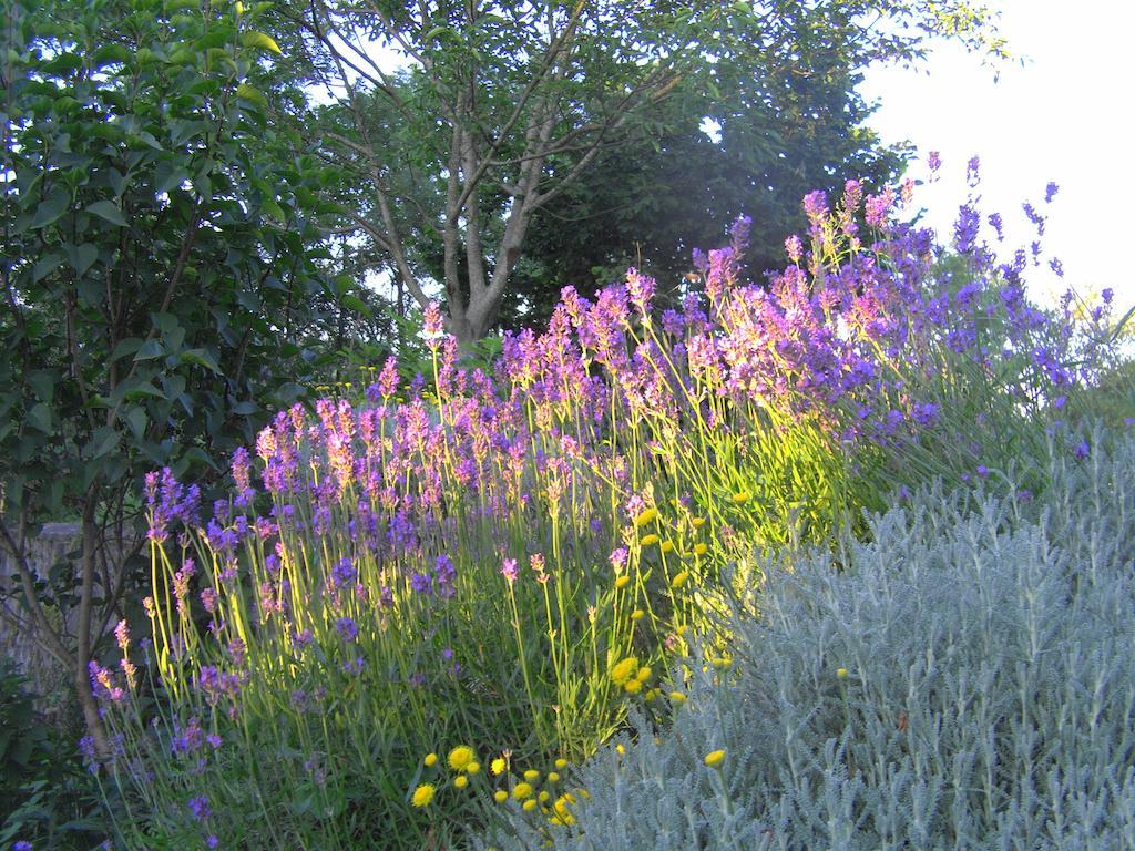 Bed and Breakfast Fenetre Sur Loire Iguerande Esterno foto