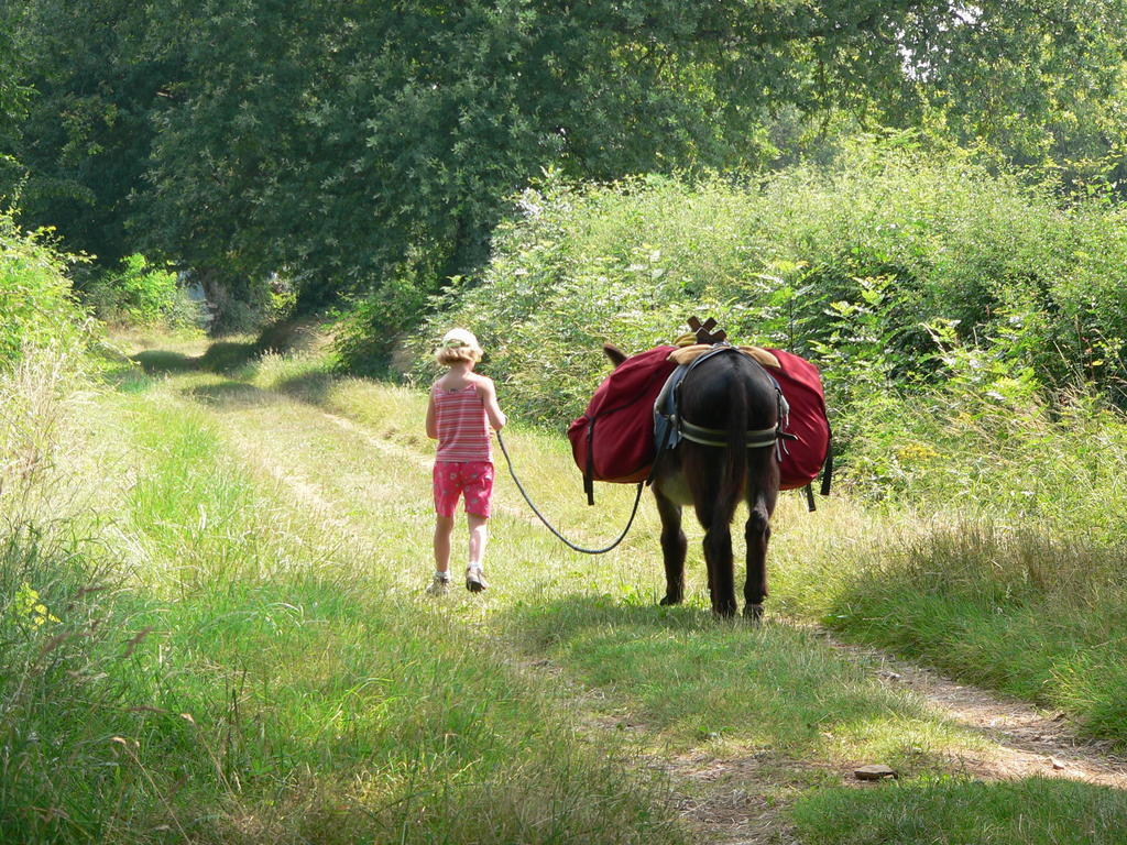 Bed and Breakfast Fenetre Sur Loire Iguerande Esterno foto
