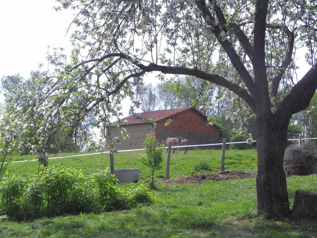 Bed and Breakfast Fenetre Sur Loire Iguerande Esterno foto